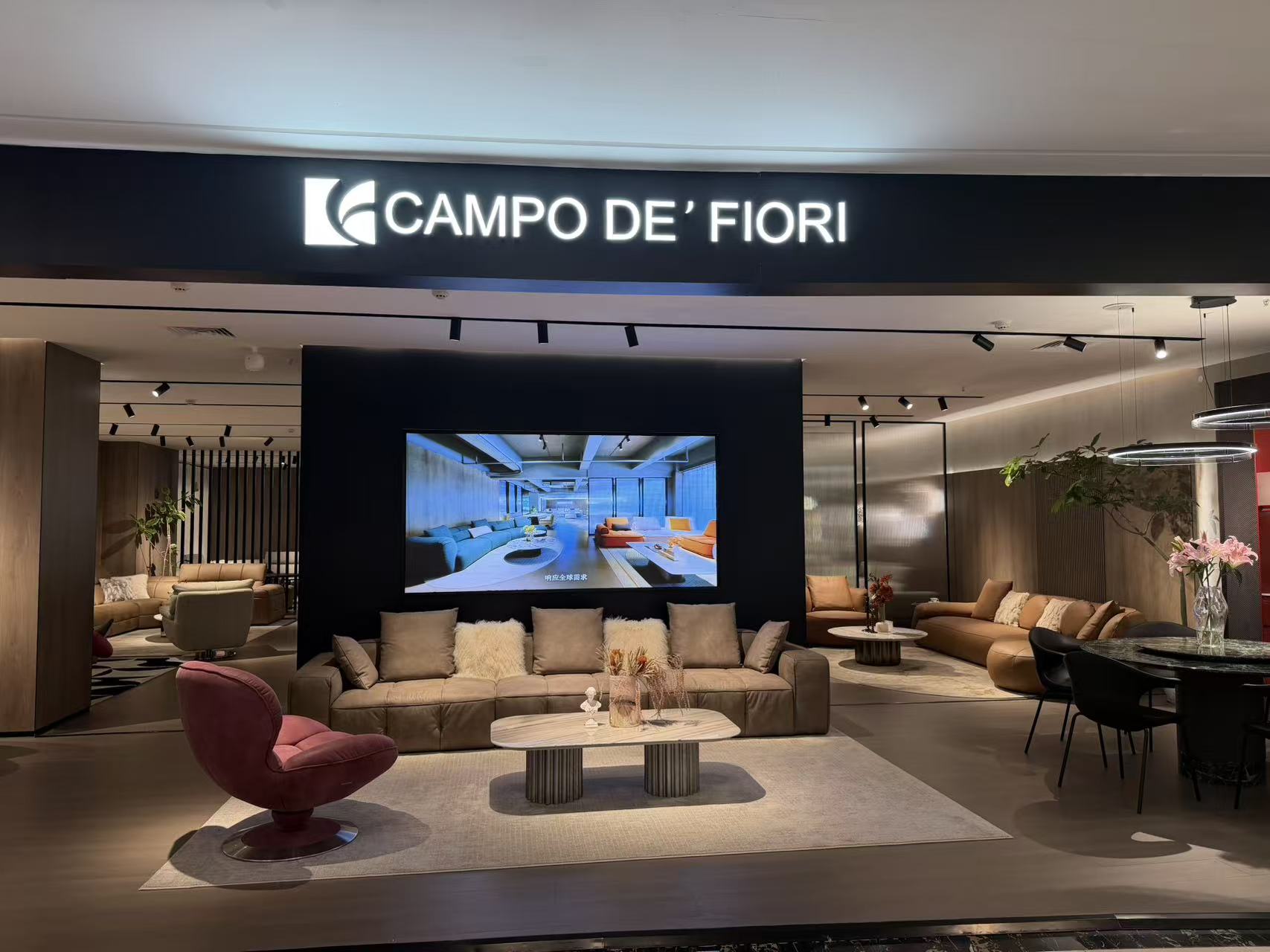 长沙槺柏专卖店